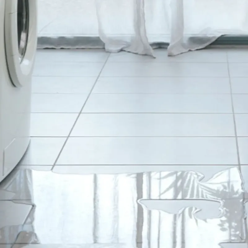 Appliance Leak Cleanup in Labadieville, LA