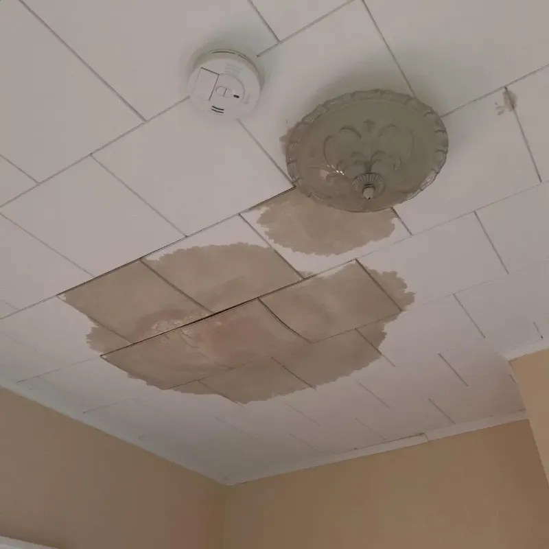 Ceiling Water Damage Repair in Labadieville, LA