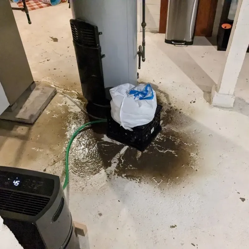 Sewage Backup Cleanup Service in Labadieville, LA